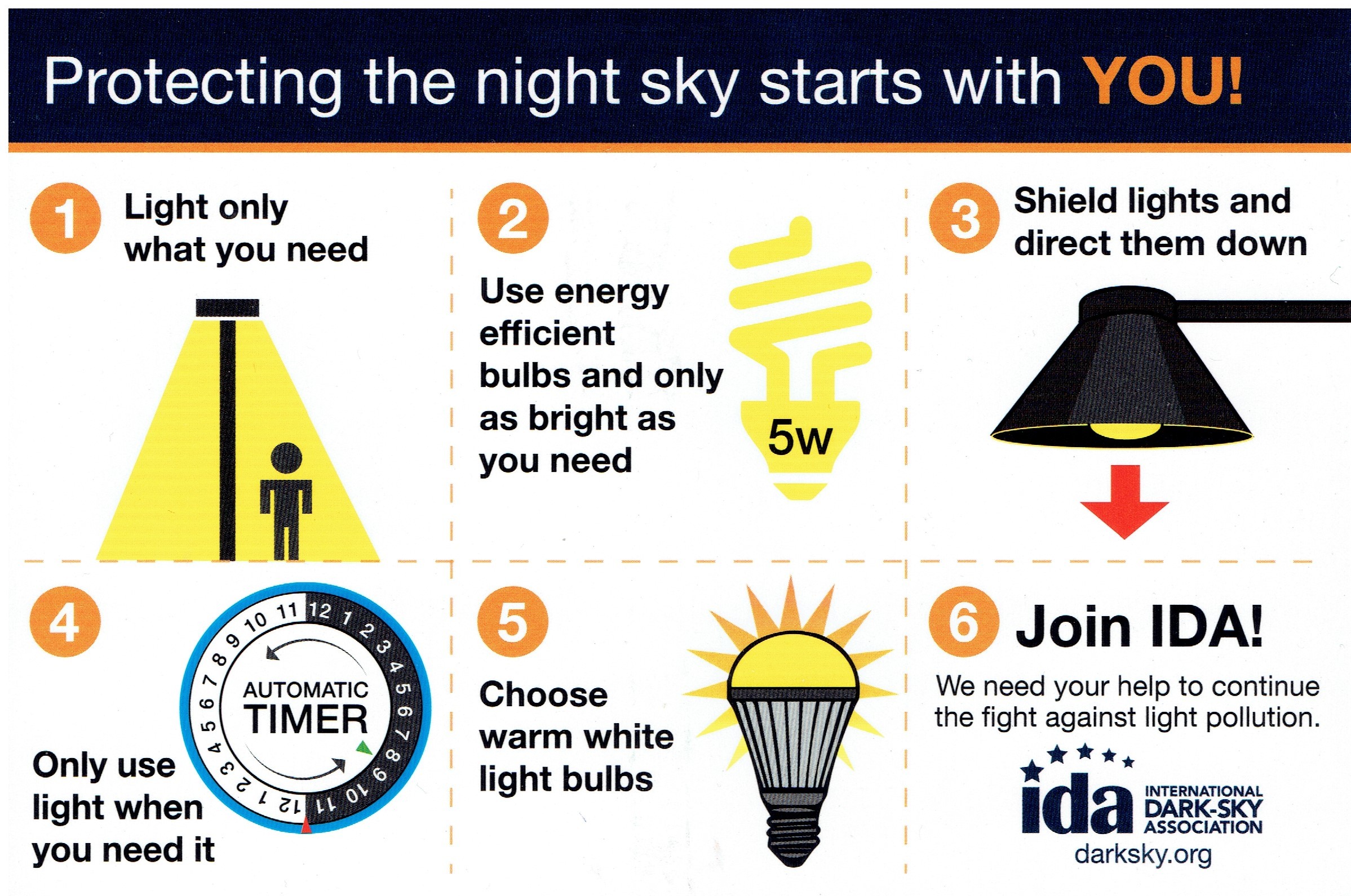 Effects Of Light Pollution In Points